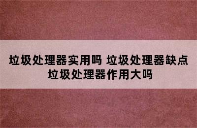 垃圾处理器实用吗 垃圾处理器缺点 垃圾处理器作用大吗